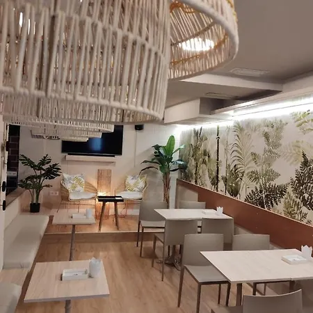 Mariquito 菲尼斯特雷